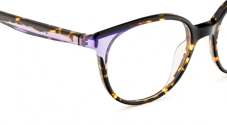 Etnia Barcelona HANNAH BAY .P Eyeglasses - view 25